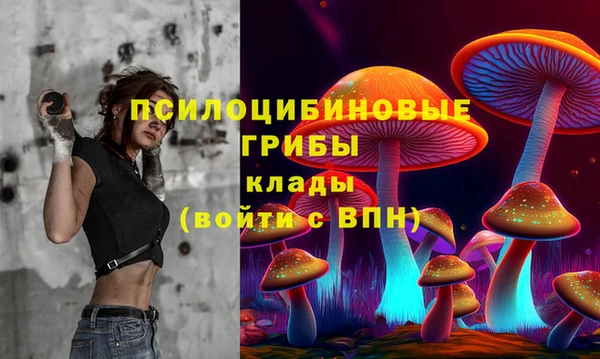 гашик Алзамай